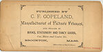[60 Stereographic Views of Oak Bridge, Central Park, New York], Various, American, Albumen silver prints