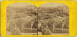 [60 Stereographic Views of Oak Bridge, Central Park, New York], Various, American, Albumen silver prints