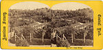 [60 Stereographic Views of Oak Bridge, Central Park, New York], Various, American, Albumen silver prints