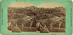 [60 Stereographic Views of Oak Bridge, Central Park, New York], Various, American, Albumen silver prints