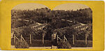 [60 Stereographic Views of Oak Bridge, Central Park, New York], Various, American, Albumen silver prints