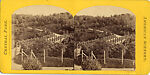 [60 Stereographic Views of Oak Bridge, Central Park, New York], Various, American, Albumen silver prints