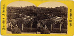 [60 Stereographic Views of Oak Bridge, Central Park, New York], Various, American, Albumen silver prints