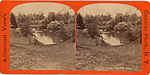 [60 Stereographic Views of Oak Bridge, Central Park, New York], Various, American, Albumen silver prints