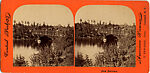 [60 Stereographic Views of Oak Bridge, Central Park, New York], Various, American, Albumen silver prints