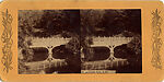 [60 Stereographic Views of Oak Bridge, Central Park, New York], Various, American, Albumen silver prints