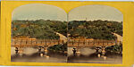 [60 Stereographic Views of Oak Bridge, Central Park, New York], Various, American, Albumen silver prints