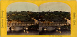 [60 Stereographic Views of Oak Bridge, Central Park, New York], Various, American, Albumen silver prints