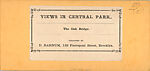 [60 Stereographic Views of Oak Bridge, Central Park, New York], Various, American, Albumen silver prints