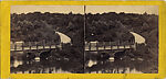 [60 Stereographic Views of Oak Bridge, Central Park, New York], Various, American, Albumen silver prints