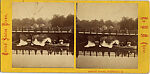 [60 Stereographic Views of Oak Bridge, Central Park, New York], Various, American, Albumen silver prints