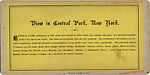 [60 Stereographic Views of Oak Bridge, Central Park, New York], Various, American, Albumen silver prints
