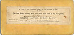 [17 Stereographic Views of Oval Arch, Central Park, New York], Various, American, Albumen silver prints