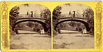 [17 Stereographic Views of Oval Arch, Central Park, New York], Various, American, Albumen silver prints