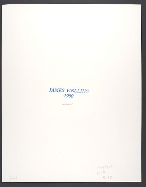 The Wayfarer, James Welling (American, born 1951), Gelatin silver print