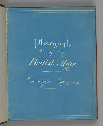 Photographs of British Algae: Cyanotype Impressions