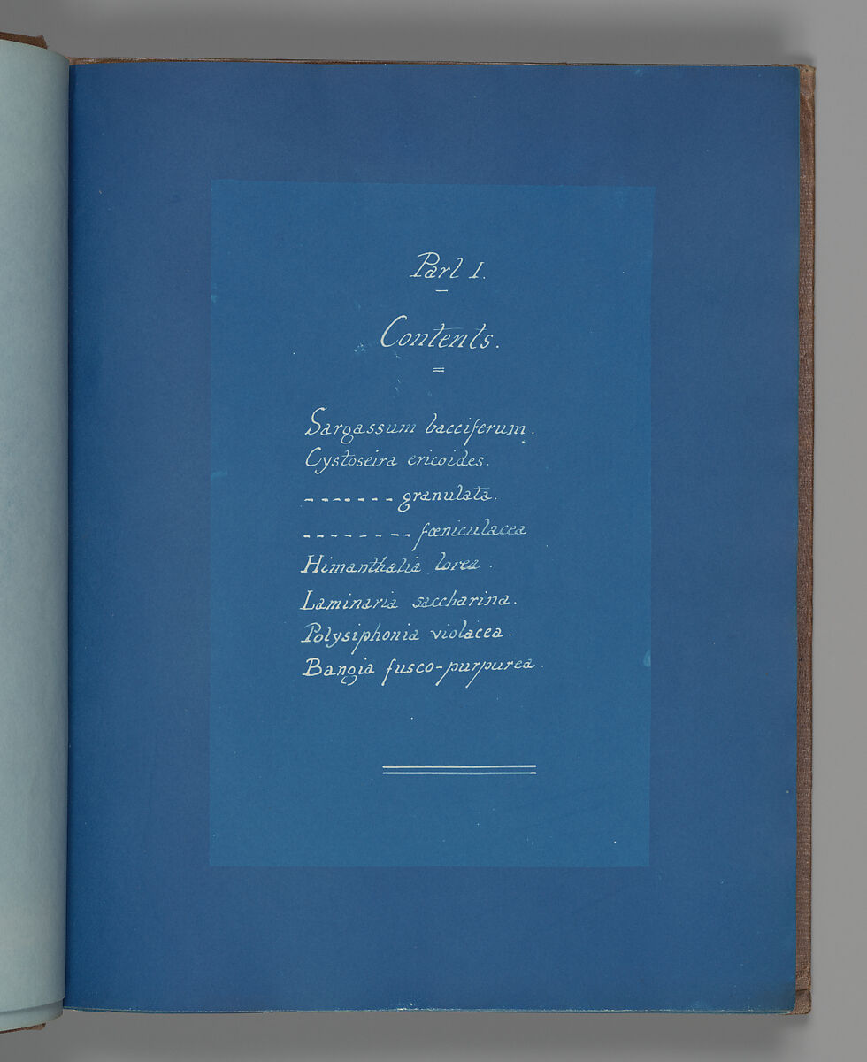 Part I Contents, Anna Atkins (British, 1799–1871), Cyanotype 
