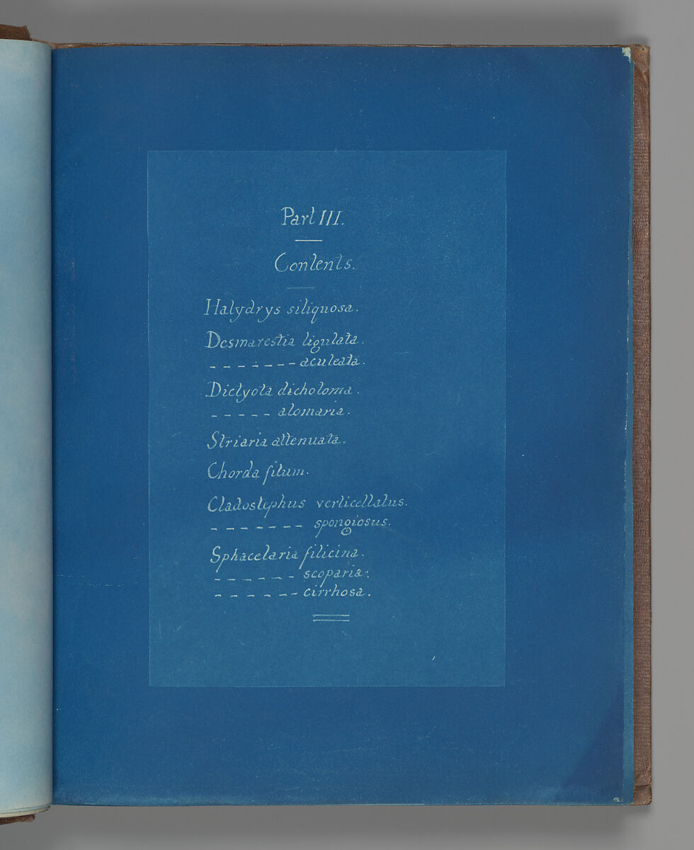 Part III Contents, Anna Atkins (British, 1799–1871), Cyanotype 