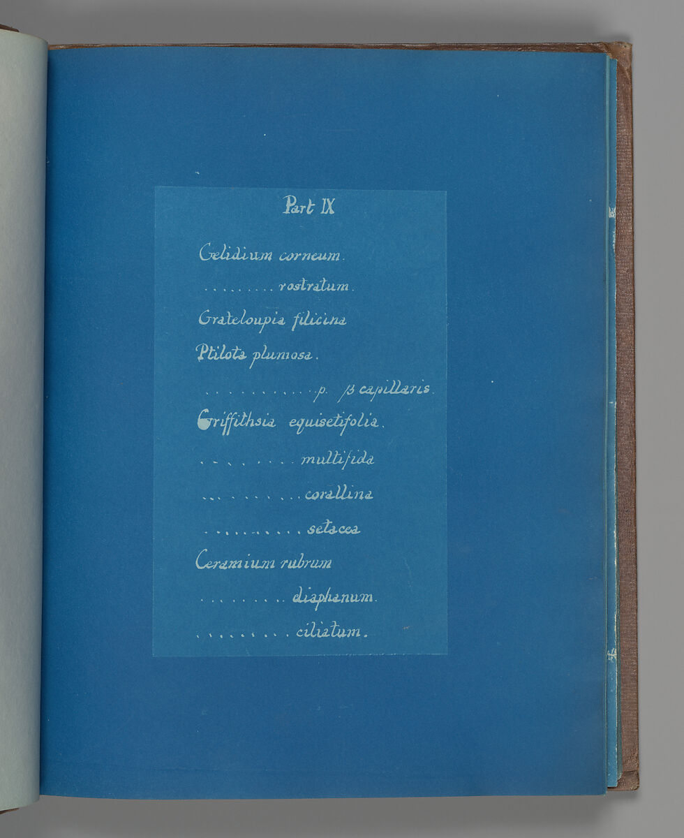 Part IX, Anna Atkins (British, 1799–1871), Cyanotype 