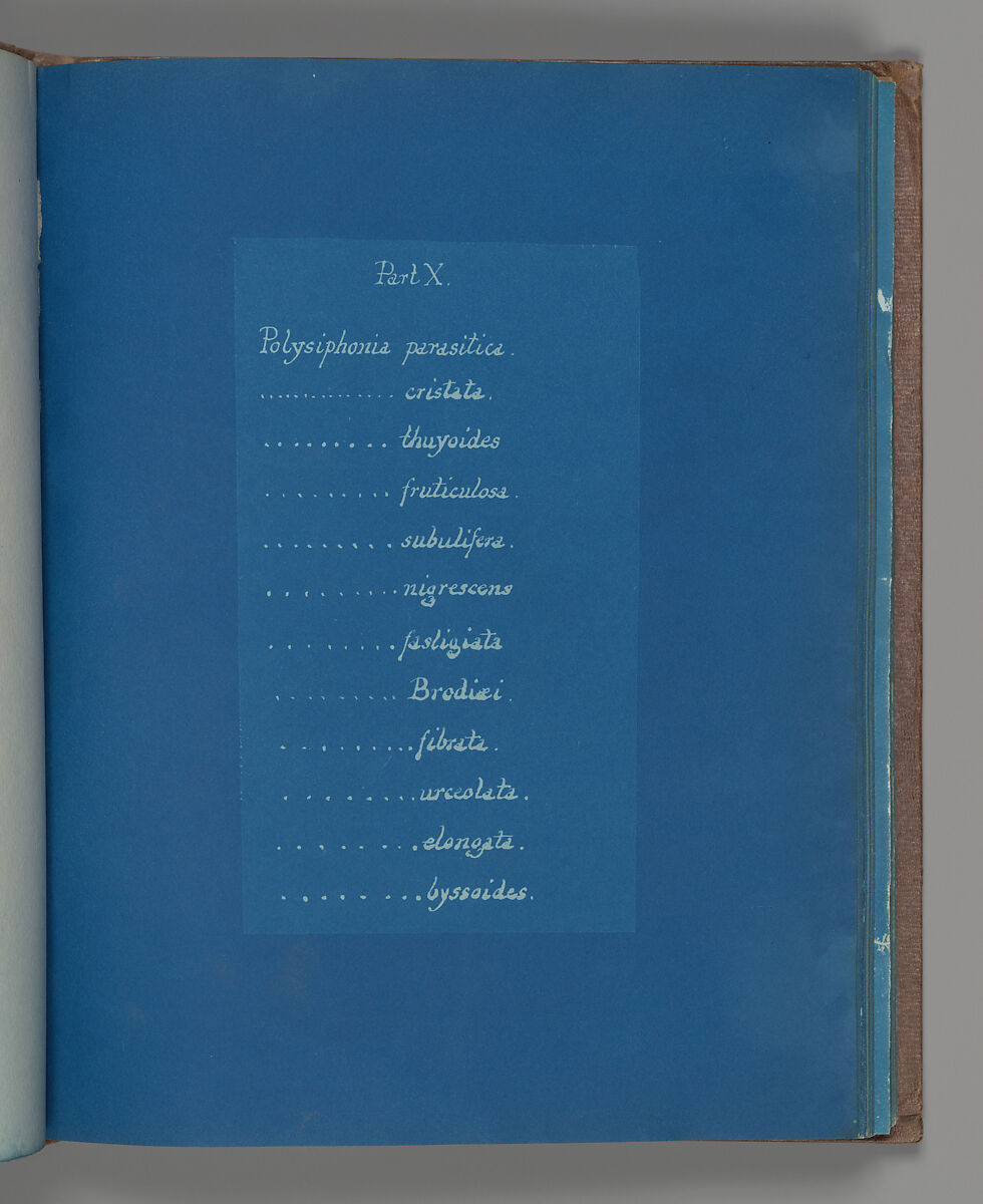 Part X, Anna Atkins (British, 1799–1871), Cyanotype 