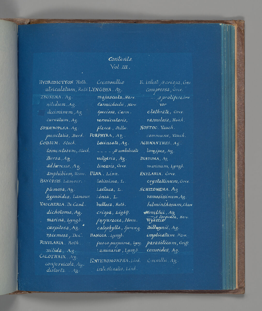 Contents, Vol. III, Anna Atkins (British, 1799–1871), Cyanotype 
