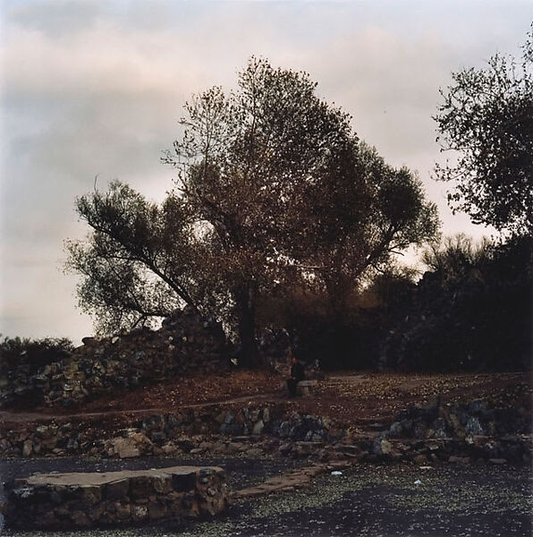 Four Seasons: Autumn, Hai Bo  Chinese, Chromogenic print