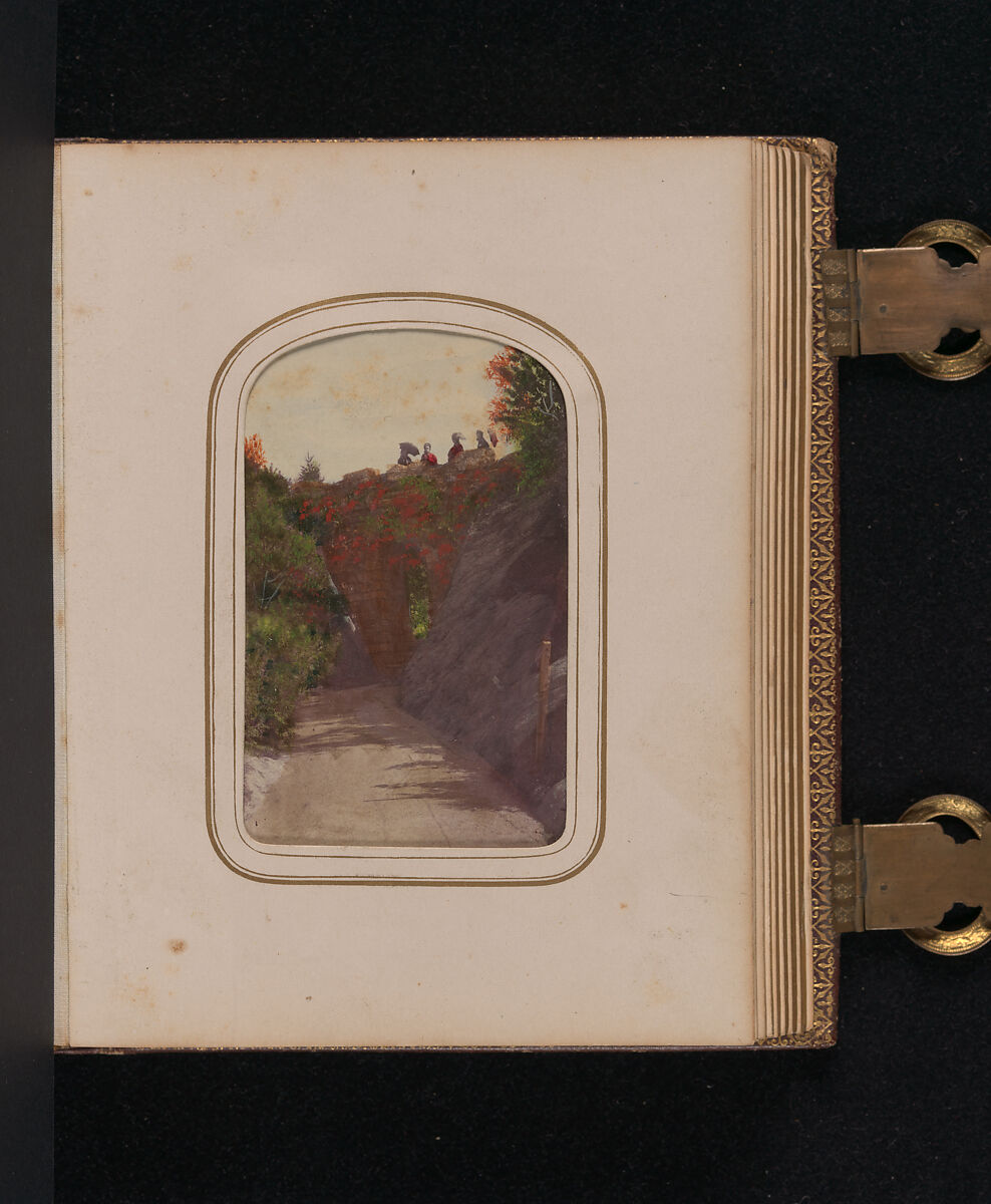 [Carte-de-visite Album of Central Park Views], Stacy's Photographic Carte de Visite (American, active 1860s), Albumen silver prints, gouache, varnish