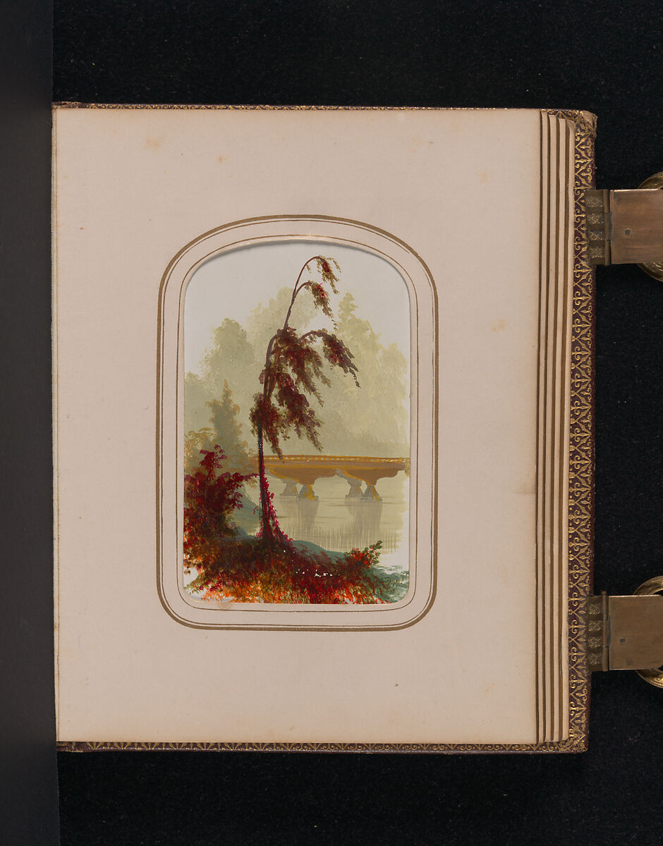[Carte-de-visite Album of Central Park Views], Stacy's Photographic Carte de Visite (American, active 1860s), Albumen silver prints, gouache, varnish