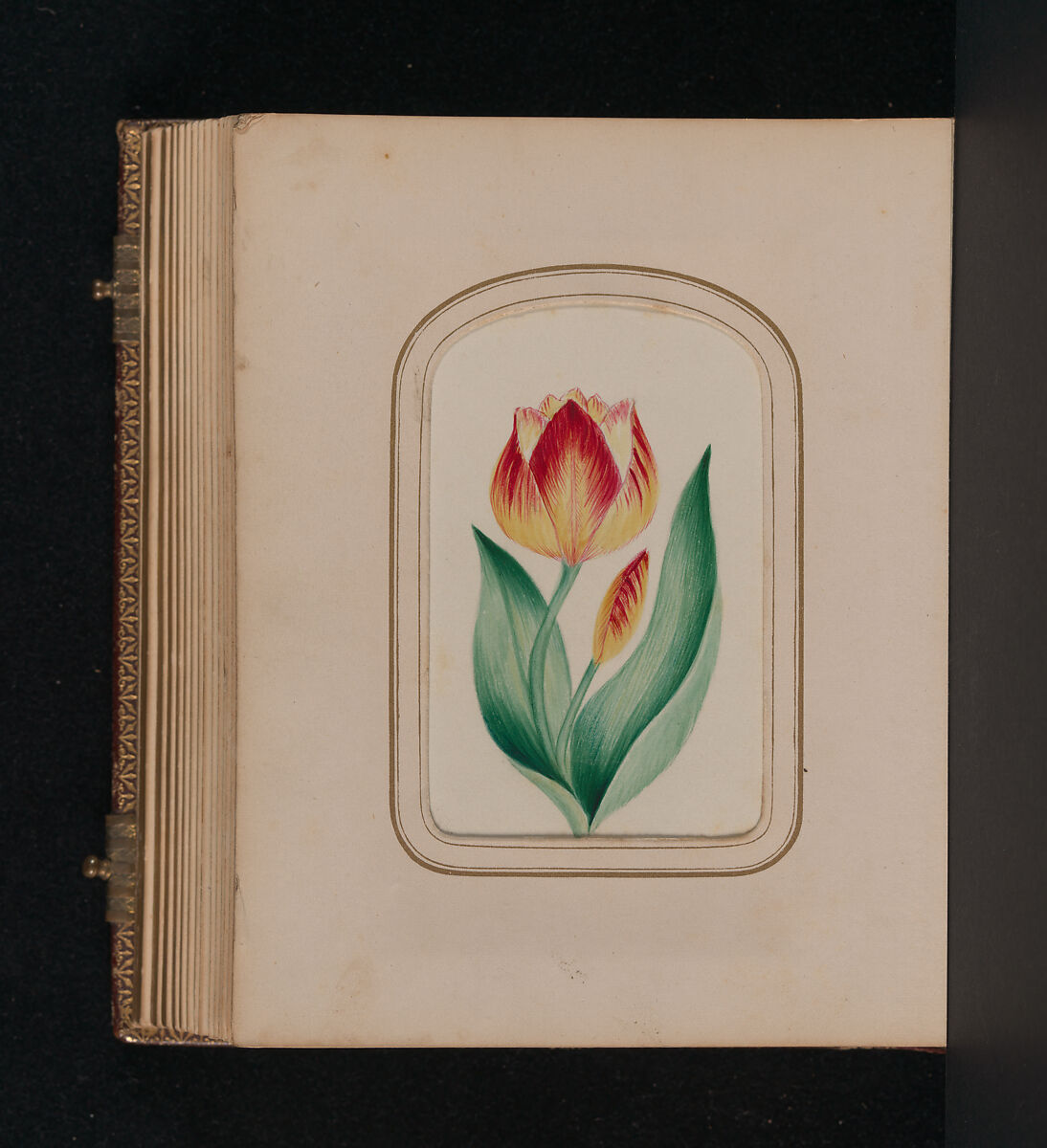 [Carte-de-visite Album of Central Park Views], Stacy's Photographic Carte de Visite (American, active 1860s), Albumen silver prints, gouache, varnish