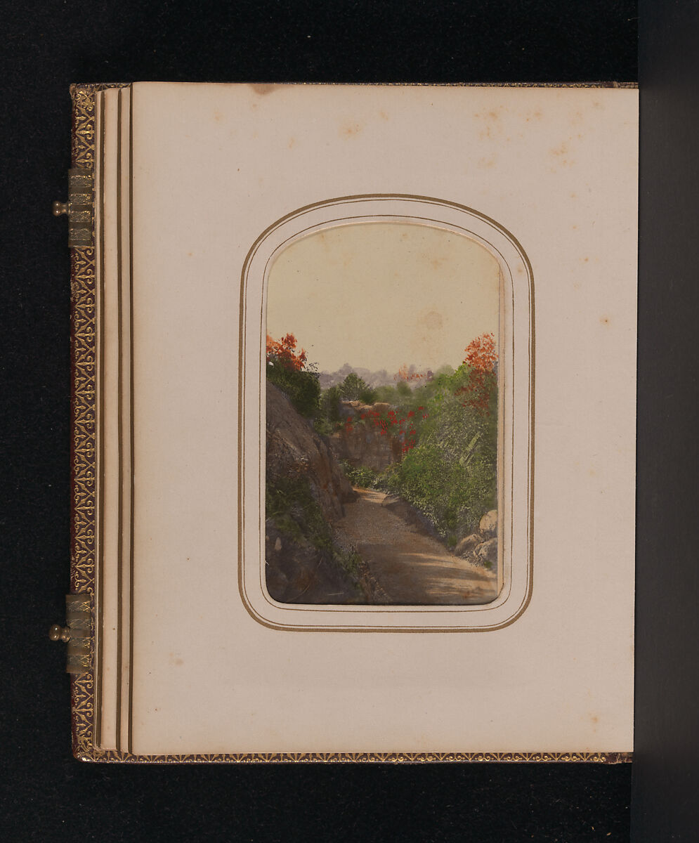 [Carte-de-visite Album of Central Park Views], Stacy's Photographic Carte de Visite (American, active 1860s), Albumen silver prints, gouache, varnish
