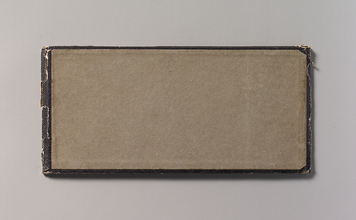 [Still-Life with Cockatoo, Ornamental Ball, Lace, Peacock Feathers], T. R. Williams (British, born 1825), Daguerreotype