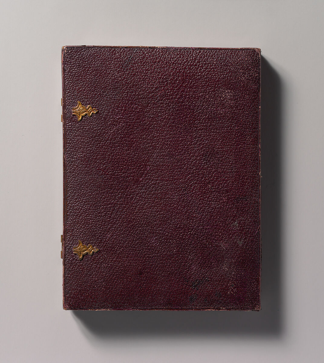 [Man Holding Book, Standing Before a Painted Scenic Backdrop], Unknown (British), Ambrotype with applied color