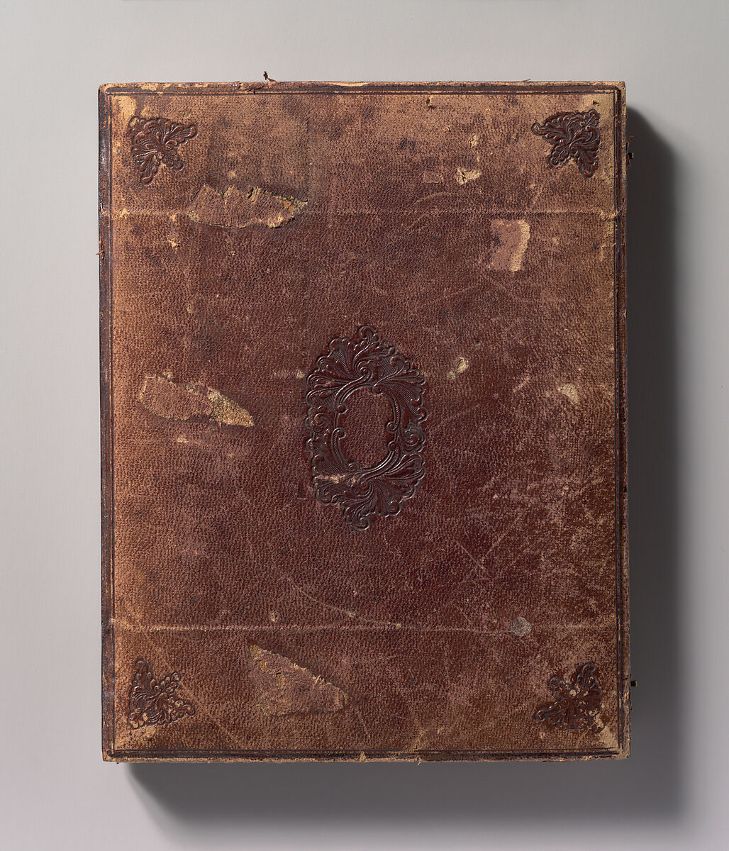 [Two Men Seated in a Horse-Drawn Carriage in Front of Niagara Falls], Unknown (American), Ambrotype