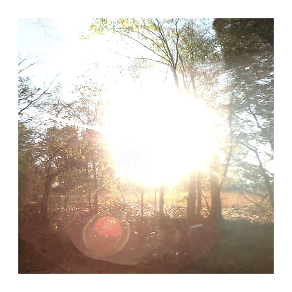 The 49 States, Matthew Jensen (American, born 1980), Chromogenic prints