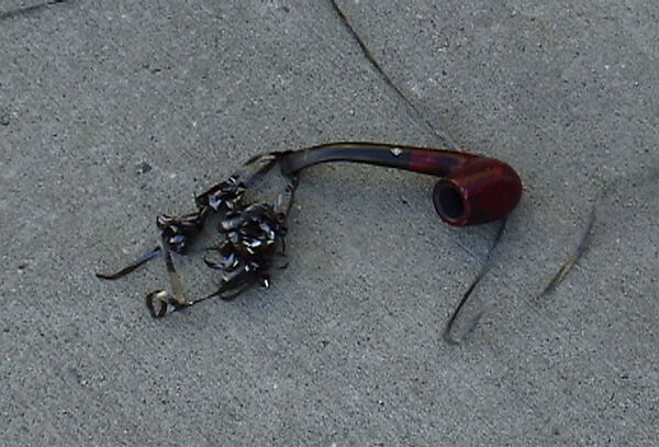 Incidents, Igor and Svetlana Kopystiansky (American, born 1954 and 1950), Single-channel digital video, color, sound, 14 min., 49 sec.