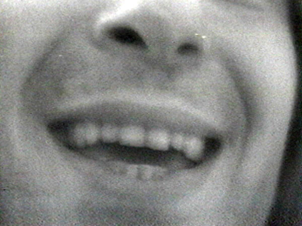 William Wegman - Selected Works: Reel 1 - The Metropolitan Museum