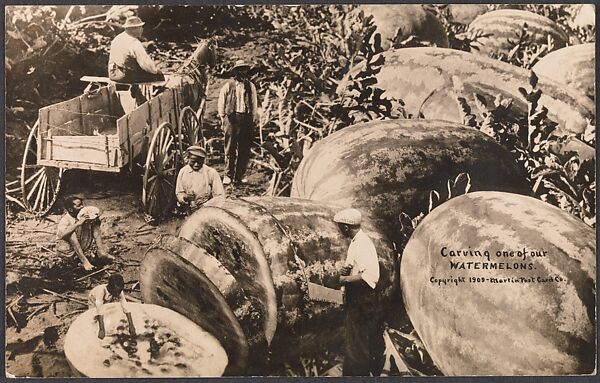 Carving One of Our Watermelons, William H. Martin (American, 1865–1940), Gelatin silver print 