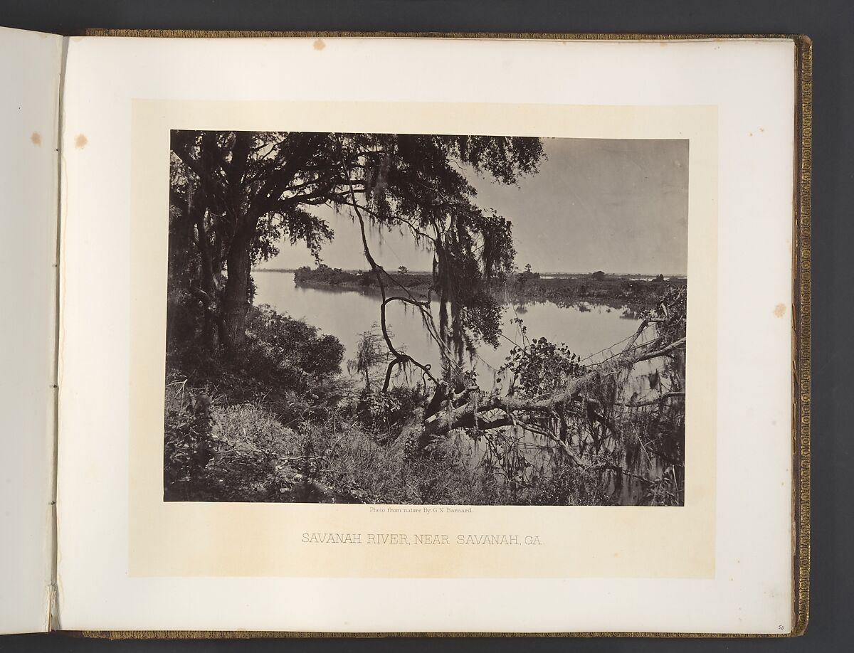 Savanah River, Near Savanah, Georgia, George N. Barnard (American, 1819–1902), Albumen silver print from glass negative 