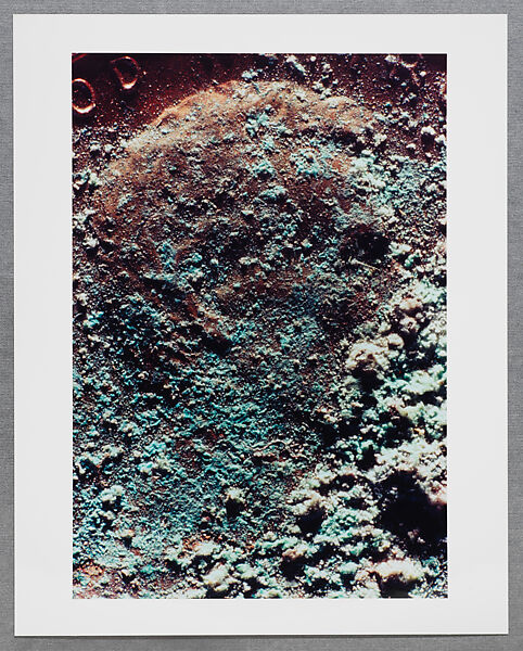 Copperhead Grid, Moyra Davey (American, born Toronto, 1958), Chromogenic prints
