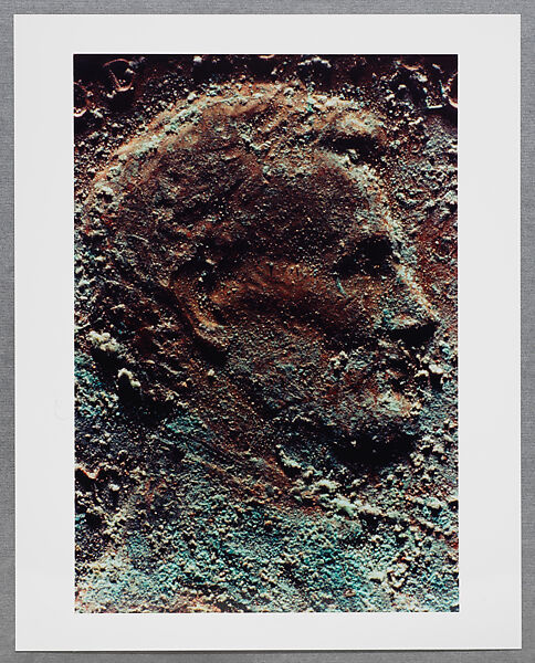 Copperhead Grid, Moyra Davey (American, born Toronto, 1958), Chromogenic prints