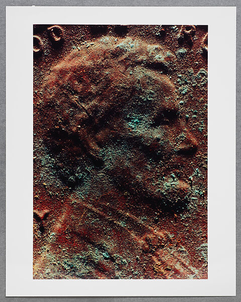Copperhead Grid, Moyra Davey (American, born Toronto, 1958), Chromogenic prints