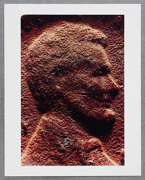 Copperhead Grid, Moyra Davey (American, born Toronto, 1958), Chromogenic prints