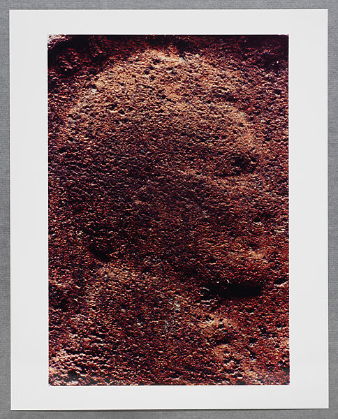 Copperhead Grid, Moyra Davey (American, born Toronto, 1958), Chromogenic prints