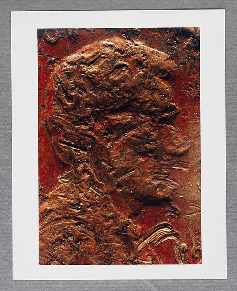 Copperhead Grid, Moyra Davey (American, born Toronto, 1958), Chromogenic prints