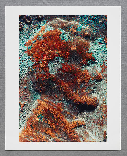 Copperhead Grid, Moyra Davey (American, born Toronto, 1958), Chromogenic prints