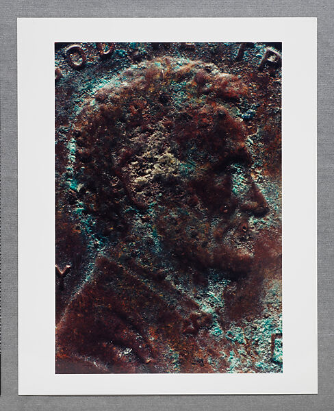 Copperhead Grid, Moyra Davey (American, born Toronto, 1958), Chromogenic prints