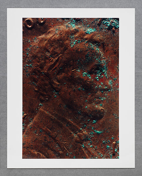 Copperhead Grid, Moyra Davey (American, born Toronto, 1958), Chromogenic prints