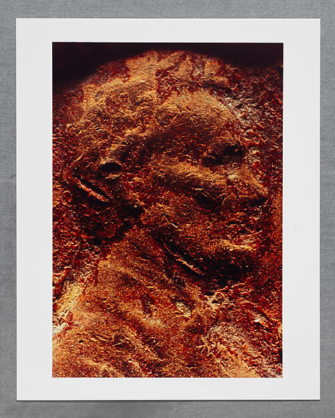 Copperhead Grid, Moyra Davey (American, born Toronto, 1958), Chromogenic prints