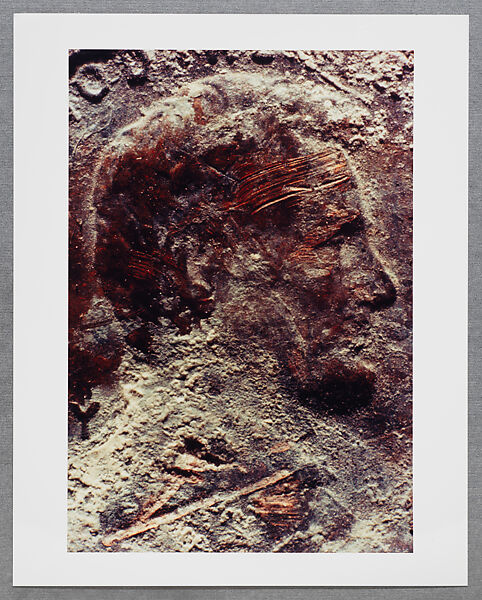 Copperhead Grid, Moyra Davey (American, born Toronto, 1958), Chromogenic prints