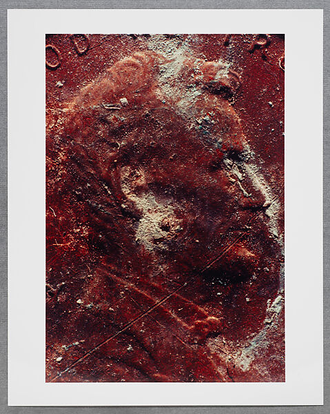 Copperhead Grid, Moyra Davey (American, born Toronto, 1958), Chromogenic prints